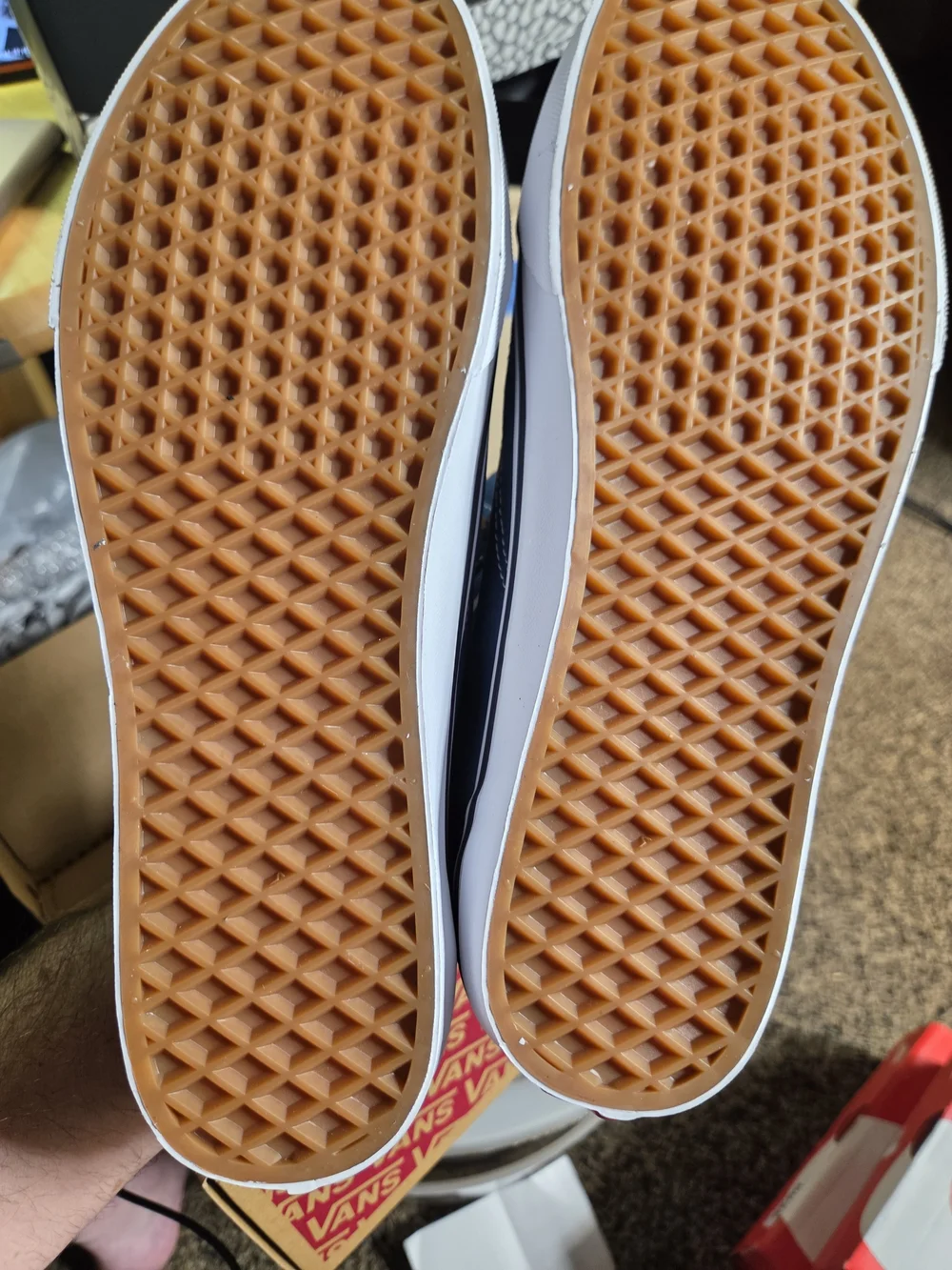 Vans low top